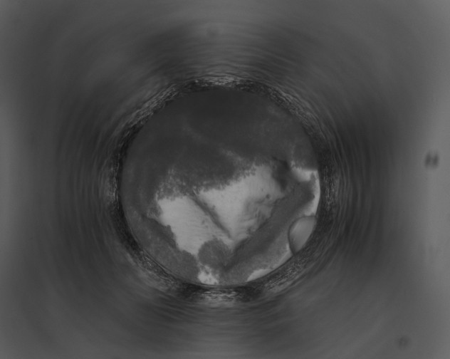 X0000095520606200801041224