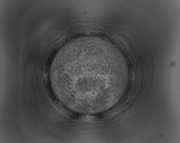 X0000095520607200801041224