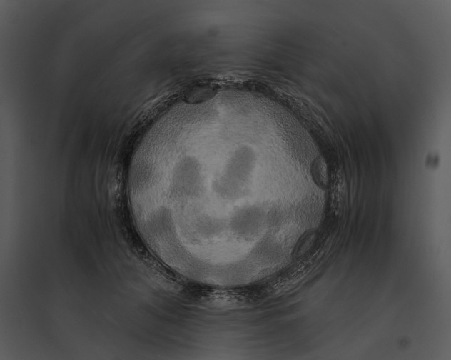 X0000095520608200801041224