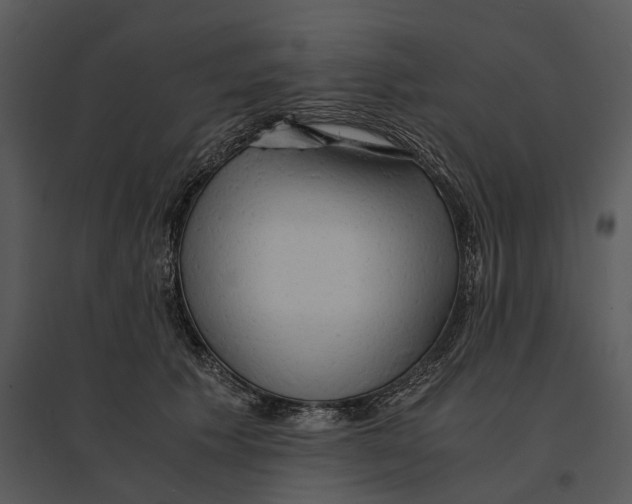 X0000095520609200801041224