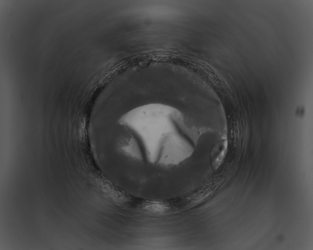 X0000095520610200801041224