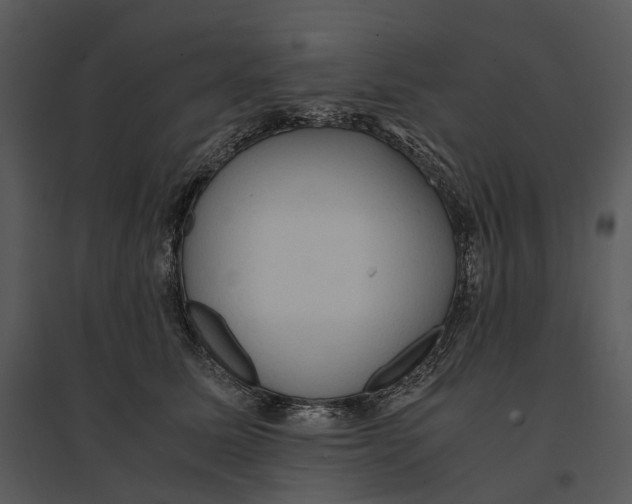 X0000095520611200801041224