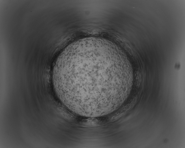 X0000095520612200801041224