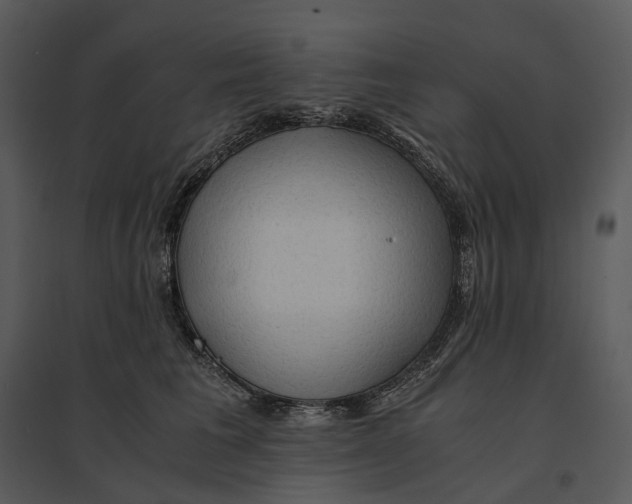 X0000095520613200801041224