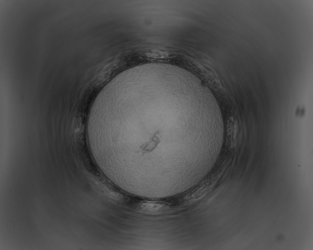 X0000095520614200801041224