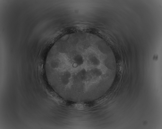 X0000095520615200801041224