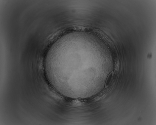 X0000095520616200801041224