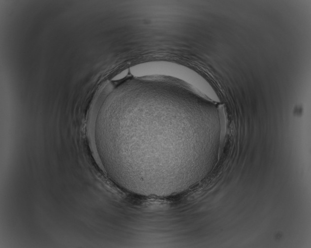 X0000095520617200801041224