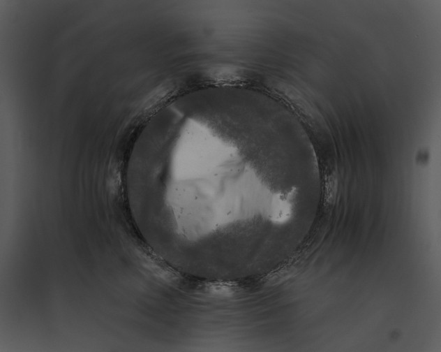 X0000095520618200801041224