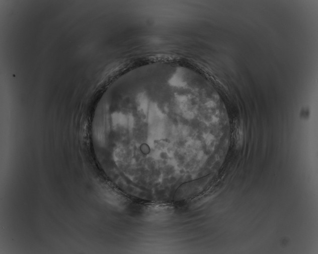 X0000095520619200801041224