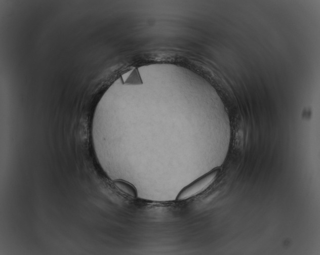 X0000095520620200801041224