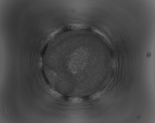 X0000095520621200801041224