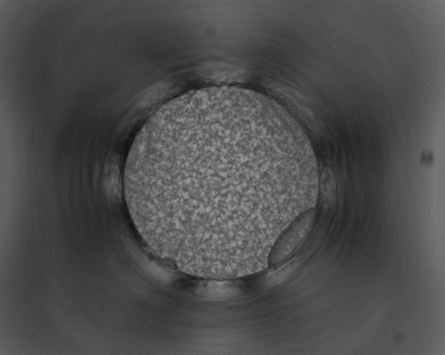 X0000095520622200801041224