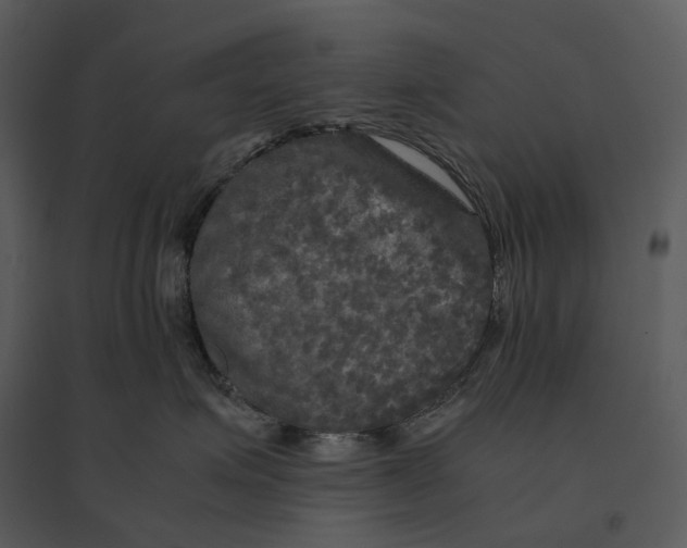 X0000095520623200801041224