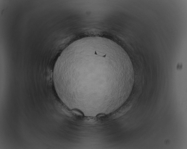 X0000095520624200801041224