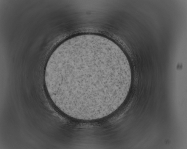 X0000095520625200801041223