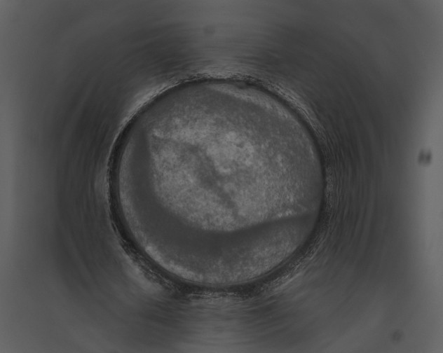 X0000095520626200801041223