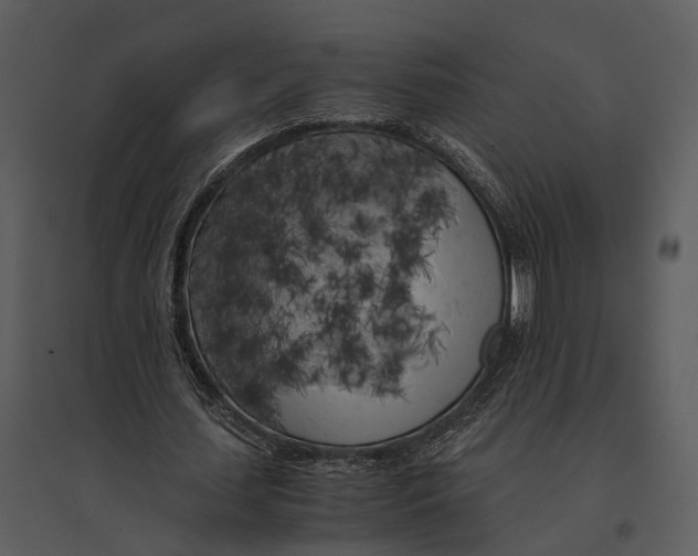 X0000095520627200801041223