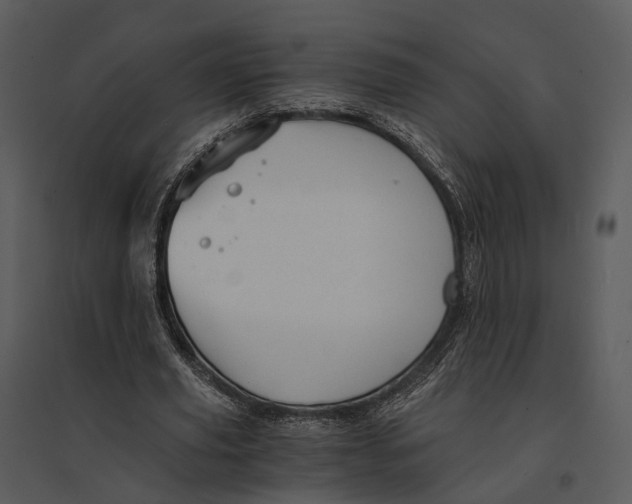 X0000095520629200801041224