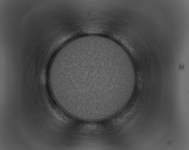 X0000095520631200801041224