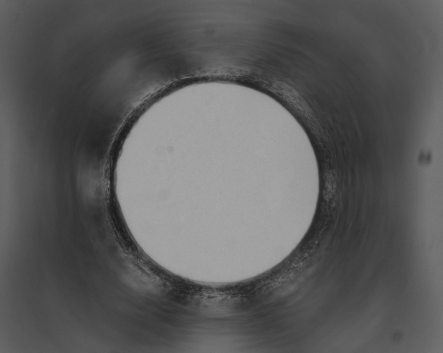 X0000095520632200801041224