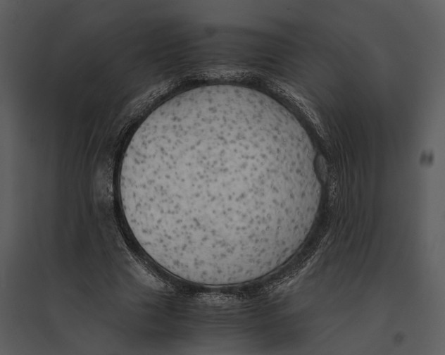 X0000095520633200801041224