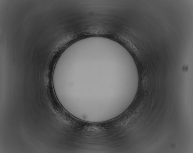 X0000095520635200801041224