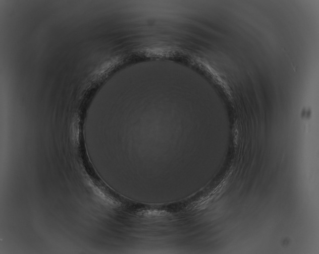 X0000095520637200801041224