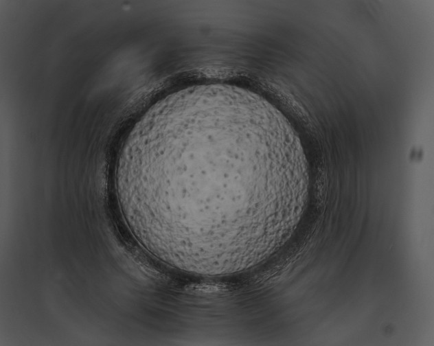 X0000095520639200801041224