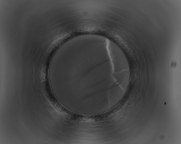 X0000095520640200801041224