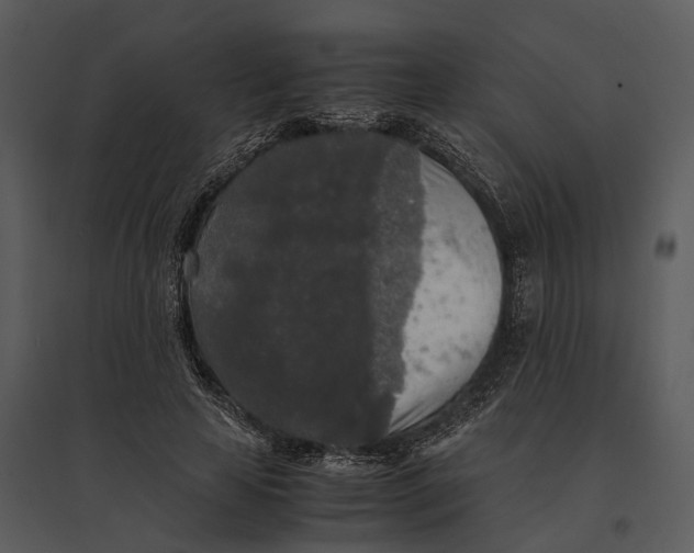 X0000095520641200801041224