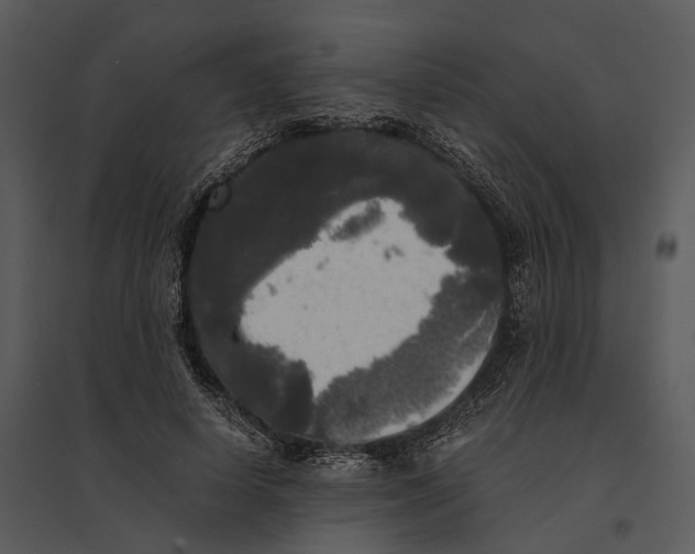 X0000095520642200801041224