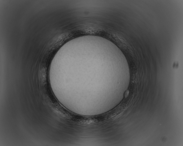 X0000095520646200801041224