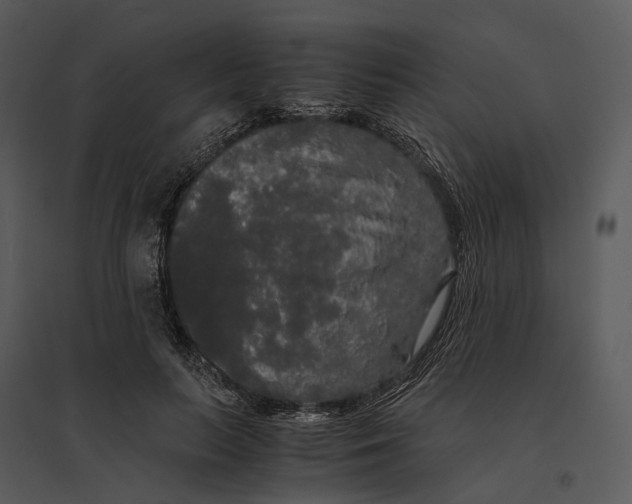 X0000095520647200801041224