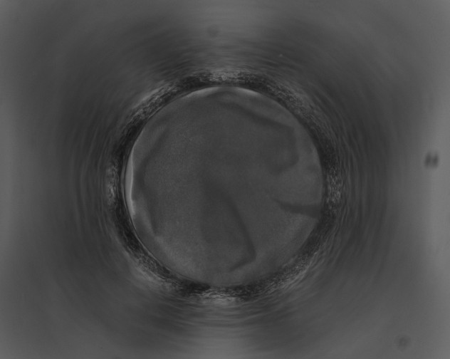 X0000095520648200801041224