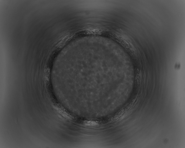 X0000095520649200801041224