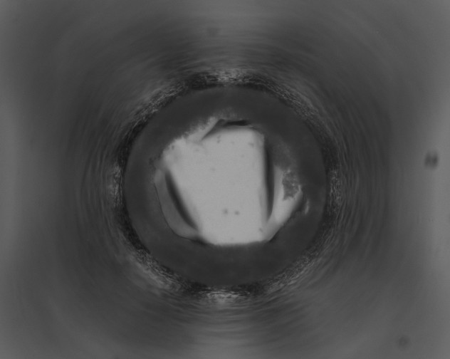 X0000095520650200801041224