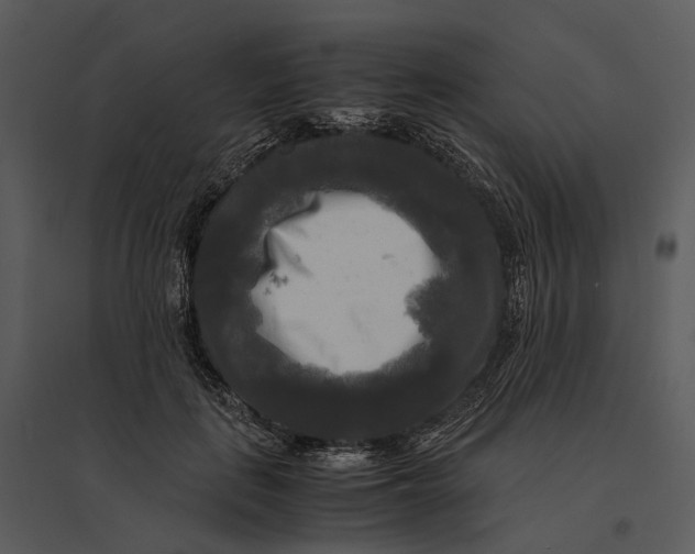 X0000095520651200801041224