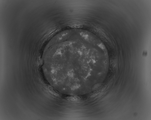 X0000095520652200801041224