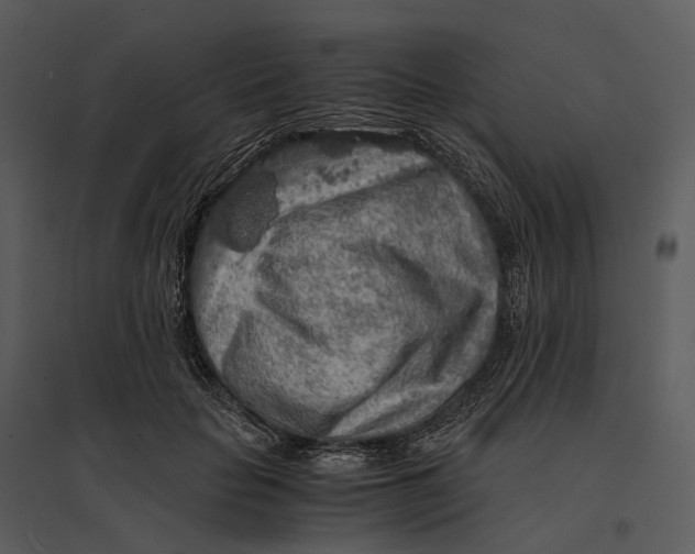 X0000095520653200801041224