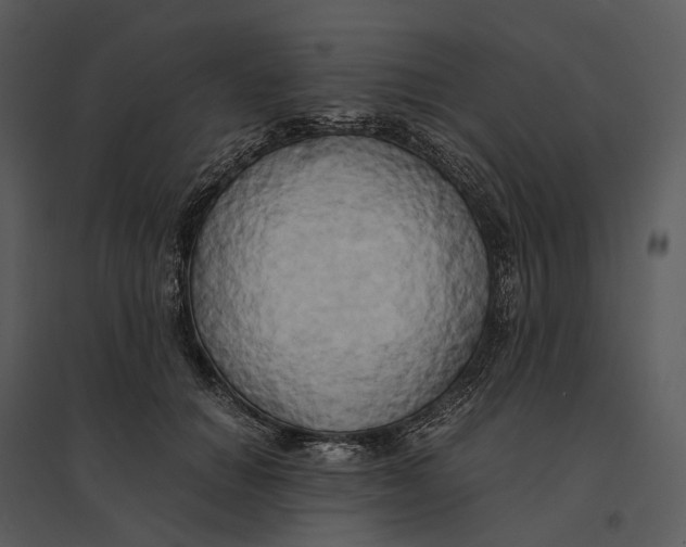 X0000095520654200801041224