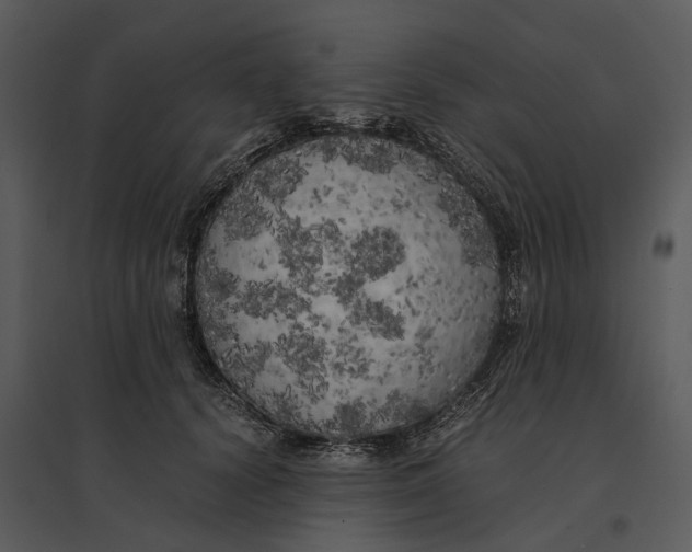 X0000095520656200801041224