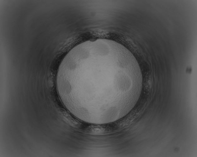 X0000095520658200801041224