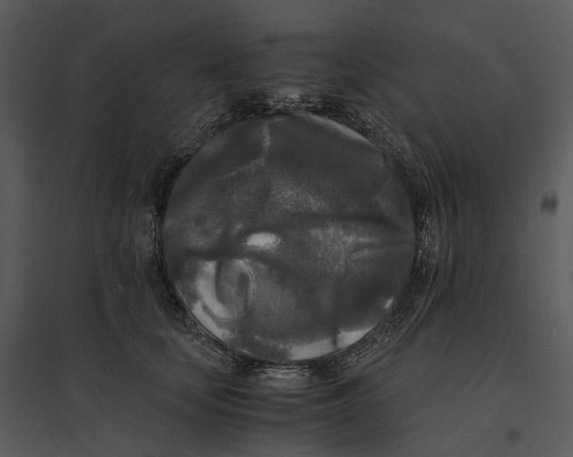 X0000095520659200801041224