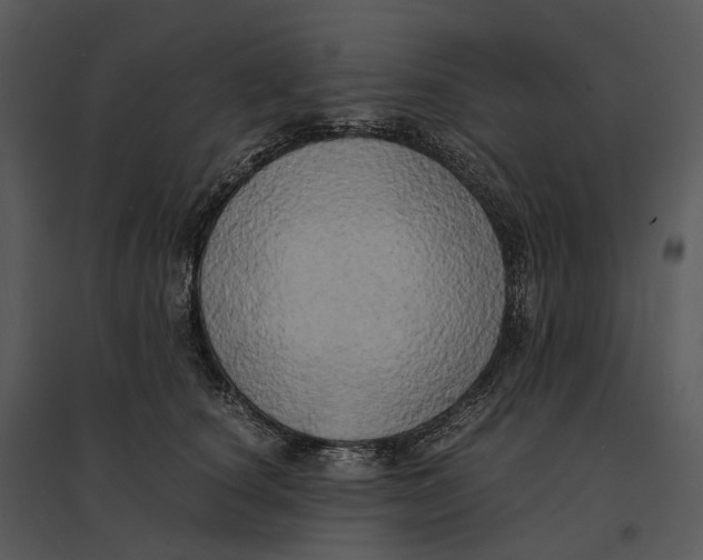 X0000095520660200801041224