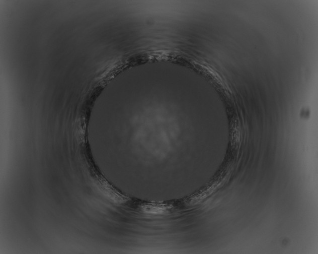 X0000095520661200801041224