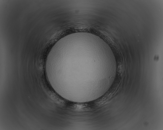 X0000095520662200801041224