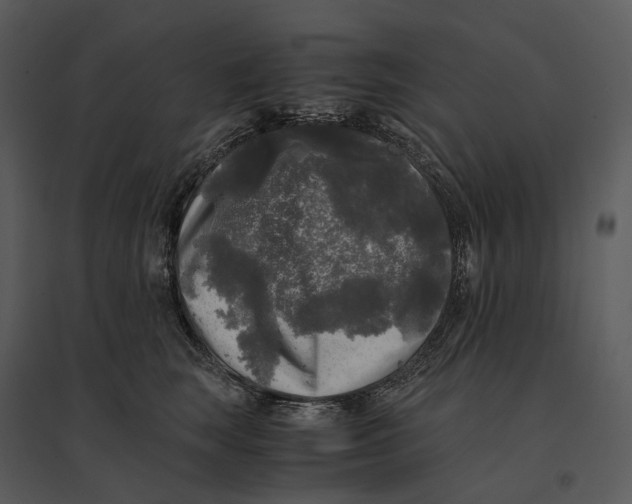 X0000095520663200801041224