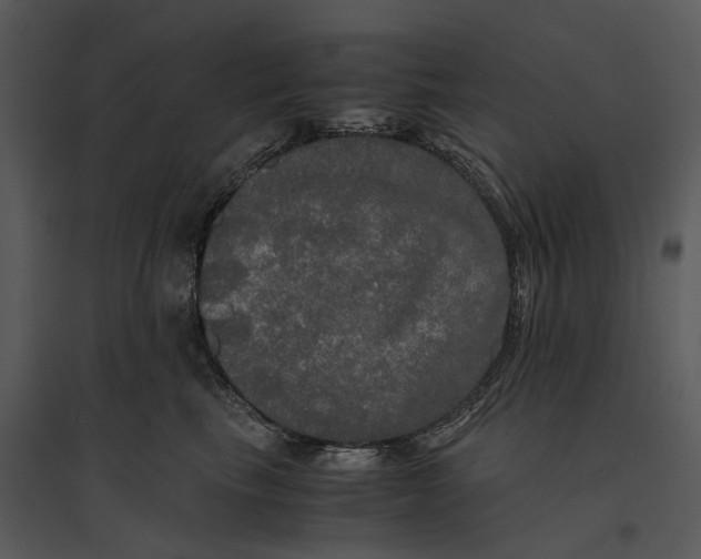 X0000095520665200801041224