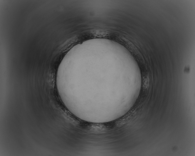 X0000095520666200801041224